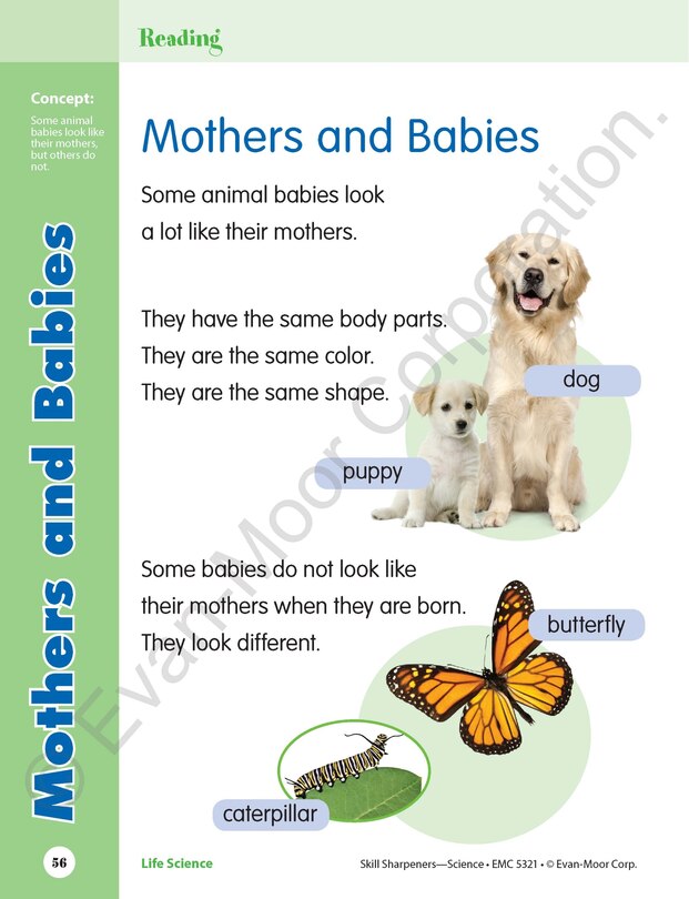 Sample content 2_Skill Sharpeners: Science, Grade 1 Workbook