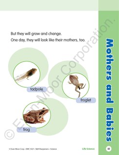Sample content 3_Skill Sharpeners: Science, Grade 1 Workbook