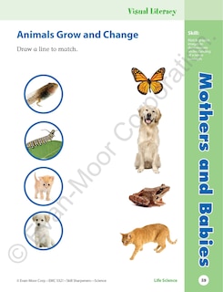 Sample content 5_Skill Sharpeners: Science, Grade 1 Workbook