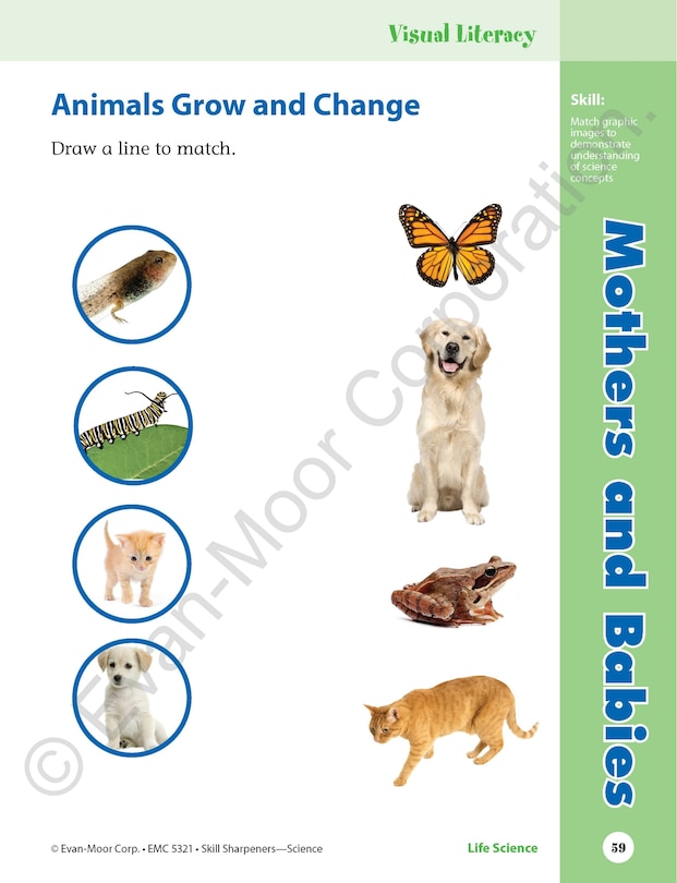 Sample content 5_Skill Sharpeners: Science, Grade 1 Workbook