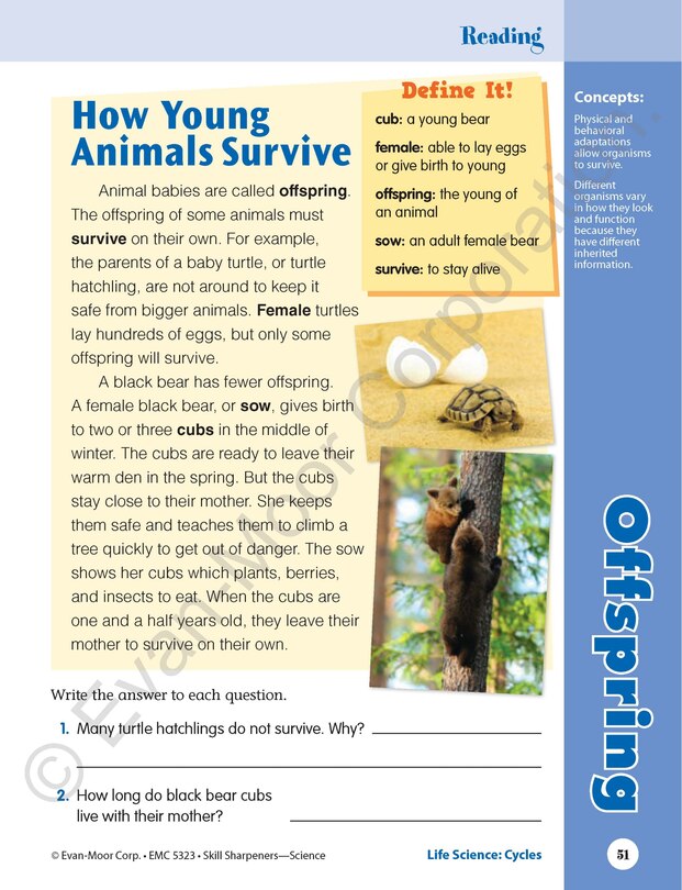 Sample content 2_Skill Sharpeners: Science, Grade 3 Workbook