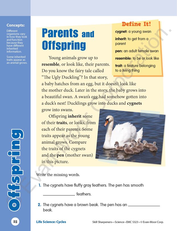 Sample content 3_Skill Sharpeners: Science, Grade 3 Workbook