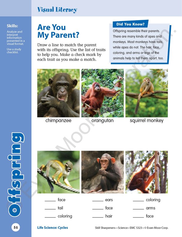Sample content 5_Skill Sharpeners: Science, Grade 3 Workbook