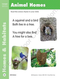 Sample content 2_Skill Sharpeners: Science, PreK Workbook