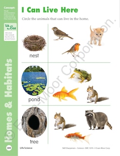 Sample content 5_Skill Sharpeners: Science, PreK Workbook