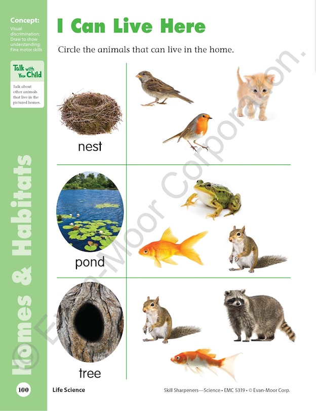 Sample content 5_Skill Sharpeners: Science, PreK Workbook