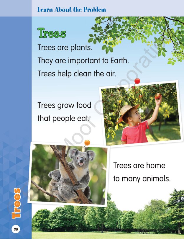 Sample content 4_Skill Sharpeners: Steam, Grade Prek