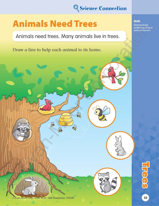 Sample content 5_Skill Sharpeners: Steam, Grade Prek