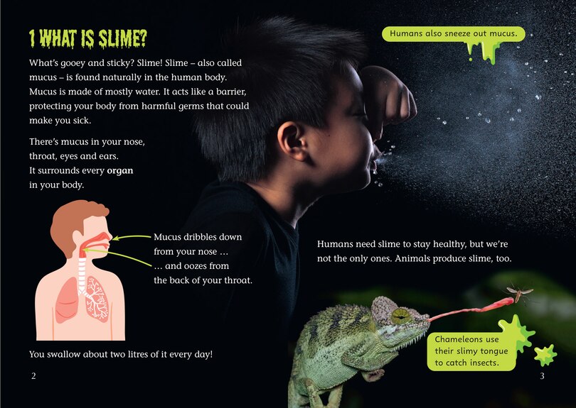 Sample content_Slime!