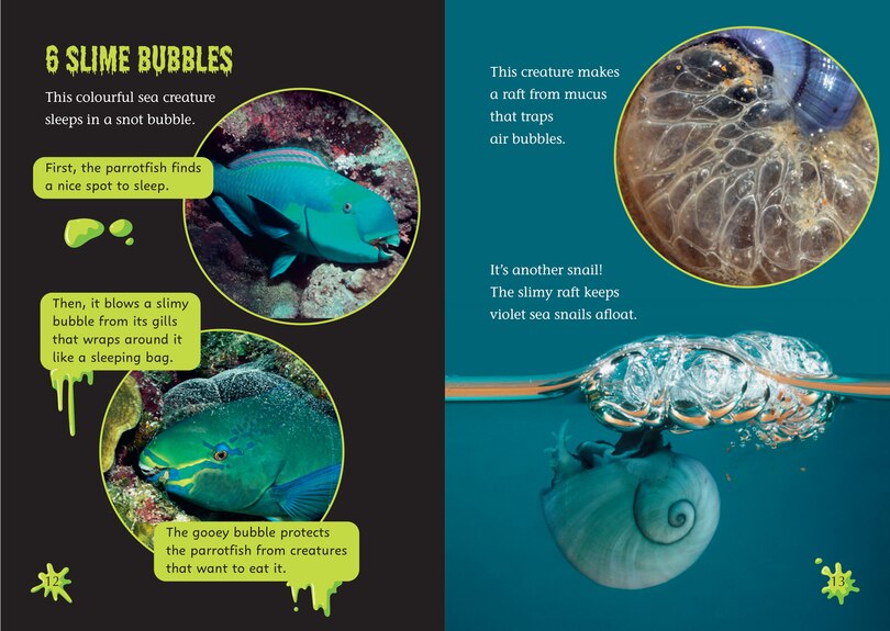 Sample content 2_Slime!