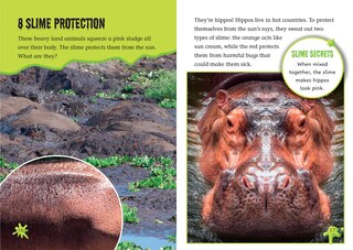 Sample content 3_Slime!