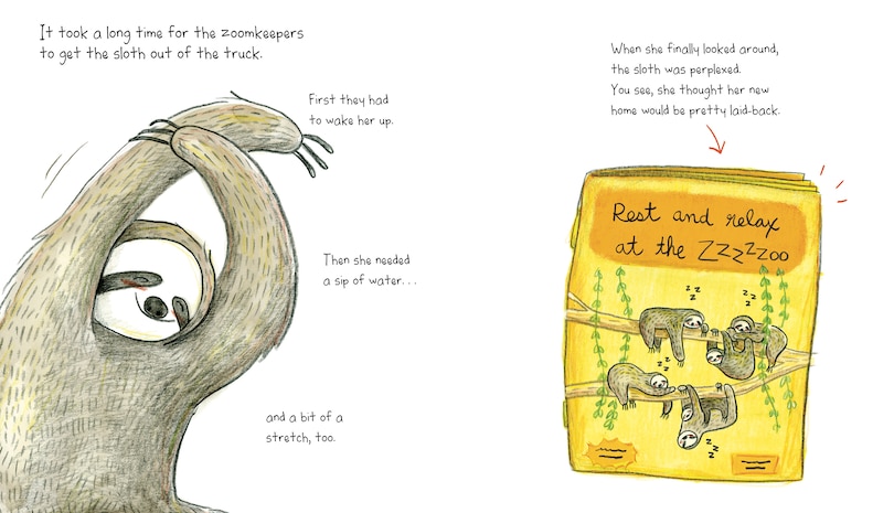 Aper&ccedil;u du contenu_Sloth At The Zoom