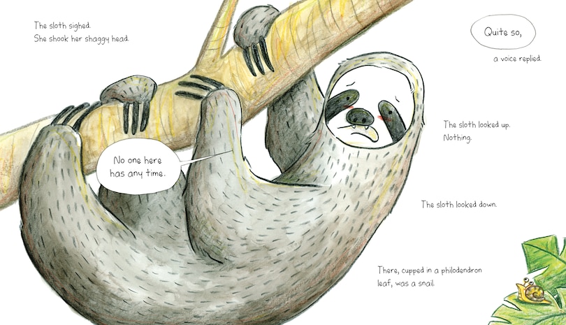 Aper&ccedil;u du contenu 4_Sloth At The Zoom