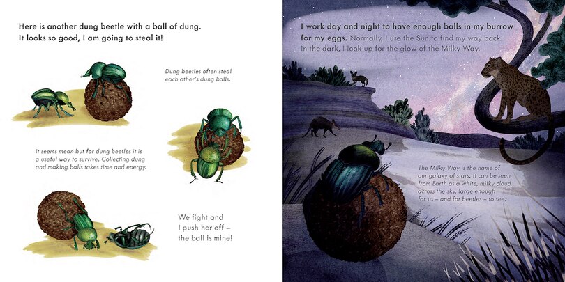 Sample content_Small Mighty Dung Beetle (Start Small, Think Big #6)