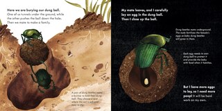 Sample content 2_Small Mighty Dung Beetle (Start Small, Think Big #6)