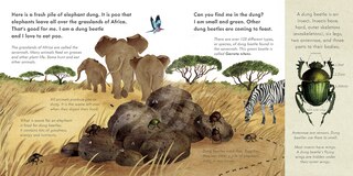 Sample content 3_Small Mighty Dung Beetle (Start Small, Think Big #6)