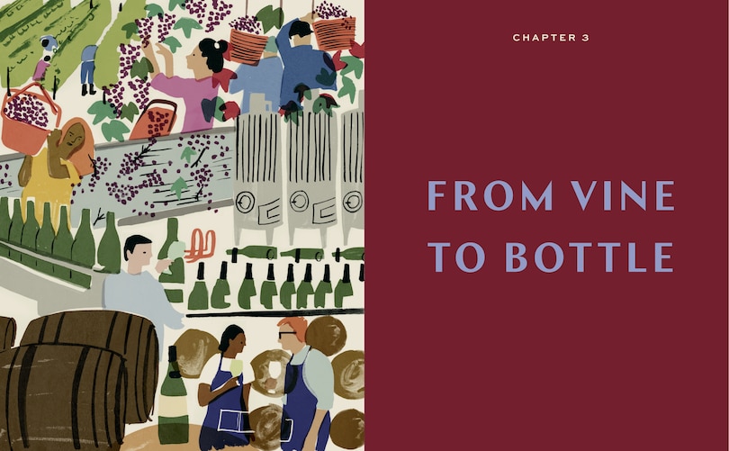 Aperçu du contenu 3_Smart Mouth