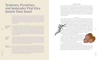 Aperçu du contenu 4_Smart Mouth