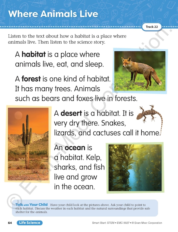 Sample content 2_Smart Start Stem, Grade 1