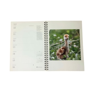 Sample content 2_Smithsonian Engagement Calendar 2026