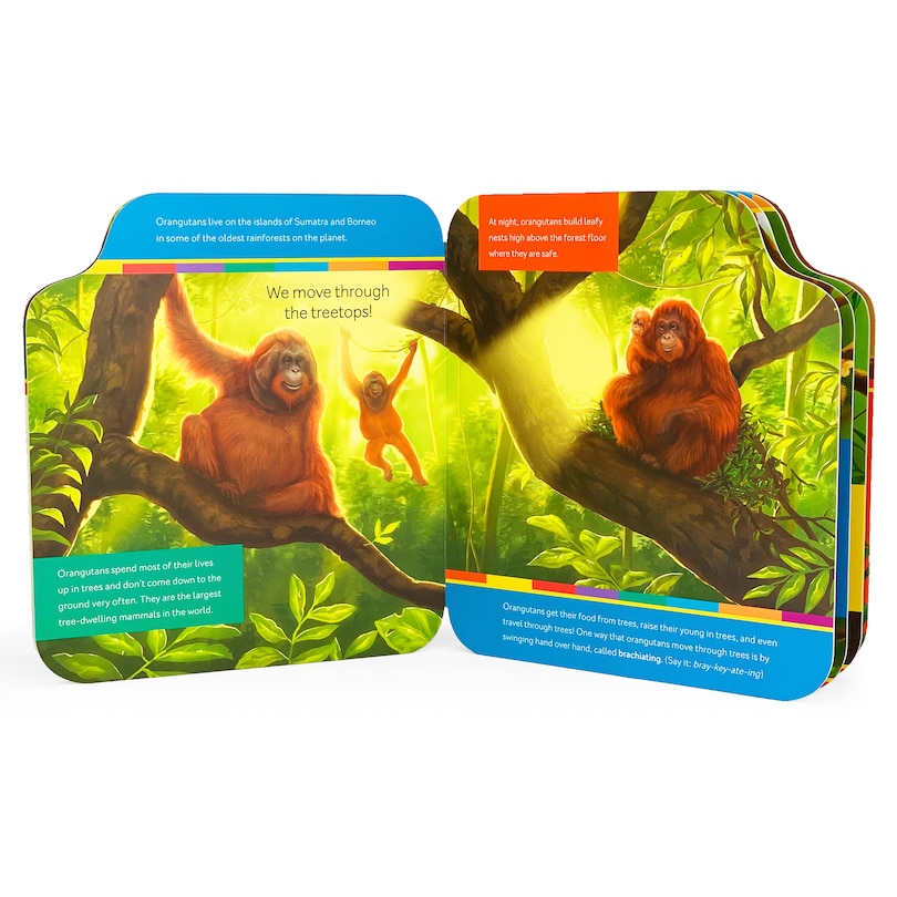 Back cover_Smithsonian Kids Orangutans
