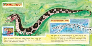 Aperçu du contenu_Snakes (New & Updated)