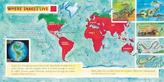 Aper&ccedil;u du contenu 4_Snakes (New & Updated)