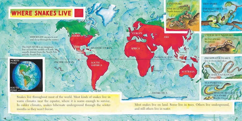 Aper&ccedil;u du contenu 4_Snakes (New & Updated)