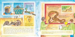 Aper&ccedil;u du contenu 5_Snakes (New & Updated)