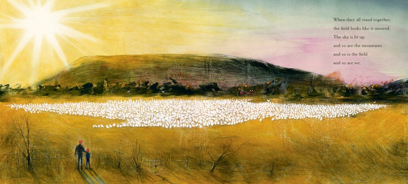 Aper&ccedil;u du contenu 2_Snow Geese Season