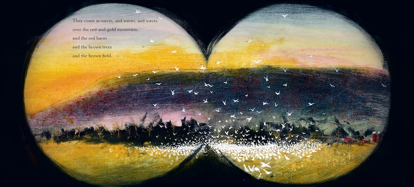 Aper&ccedil;u du contenu 3_Snow Geese Season