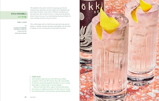 Sample content 3_Soju Party