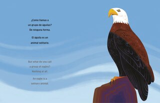 Sample content_Solitary Animals: Introverts of the Wild/Animales solitarios: Los introvertidos de la naturaleza(Bilingual English-Spanish Edition)