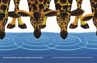 Sample content 5_Solitary Animals: Introverts of the Wild/Animales solitarios: Los introvertidos de la naturaleza(Bilingual English-Spanish Edition)