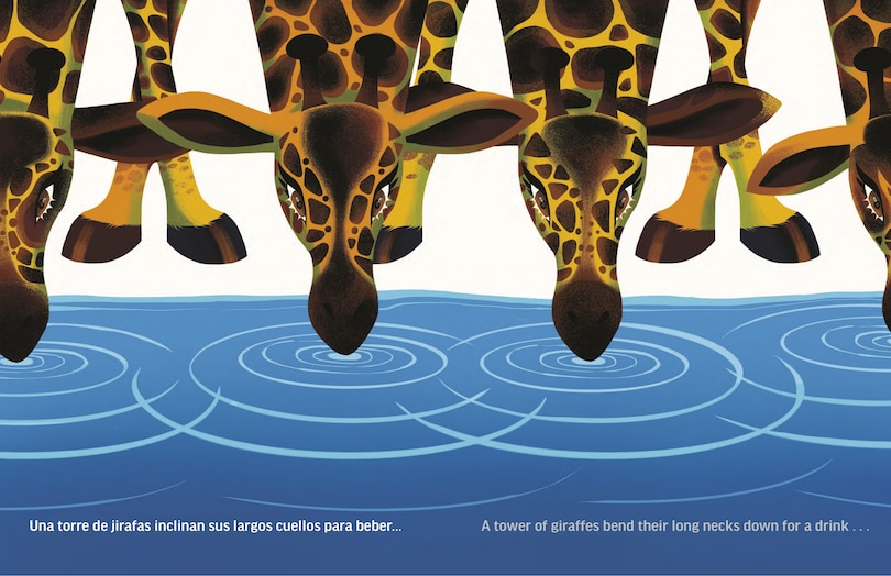 Sample content 5_Solitary Animals: Introverts of the Wild/Animales solitarios: Los introvertidos de la naturaleza(Bilingual English-Spanish Edition)