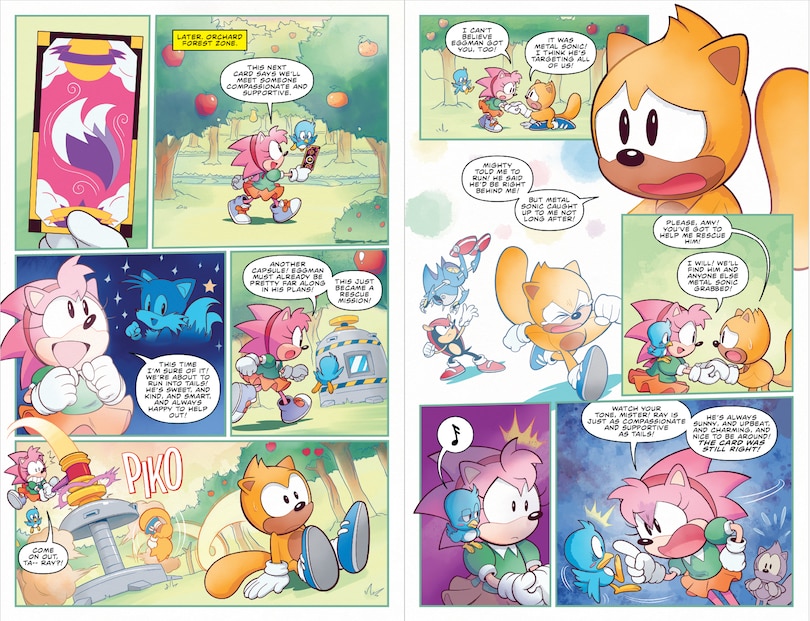 Aper&ccedil;u du contenu_Sonic the Hedgehog: Amy's Anniversary Special