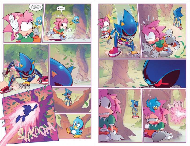 Aper&ccedil;u du contenu 2_Sonic the Hedgehog: Amy's Anniversary Special