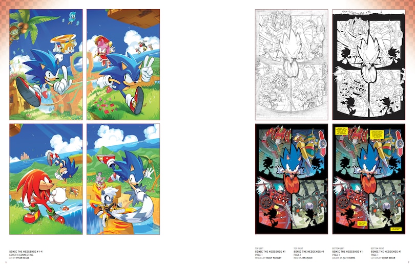 Sample content_Sonic the Hedgehog: The IDW Comic Art Collection