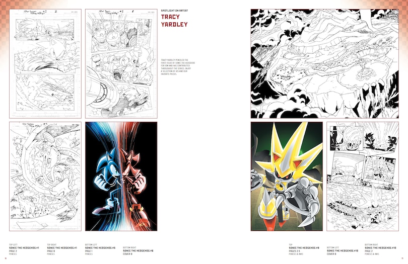 Sample content 4_Sonic the Hedgehog: The IDW Comic Art Collection