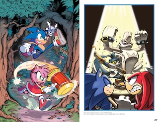 Sample content 3_Sonic the Hedgehog: The IDW Comic Covers, Vol. 1