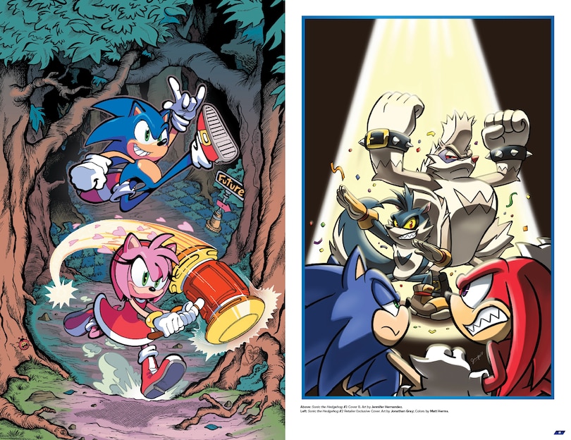 Sample content 3_Sonic the Hedgehog: The IDW Comic Covers, Vol. 1