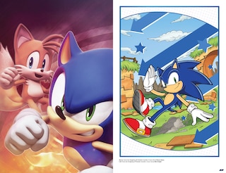 Sample content 5_Sonic the Hedgehog: The IDW Comic Covers, Vol. 1