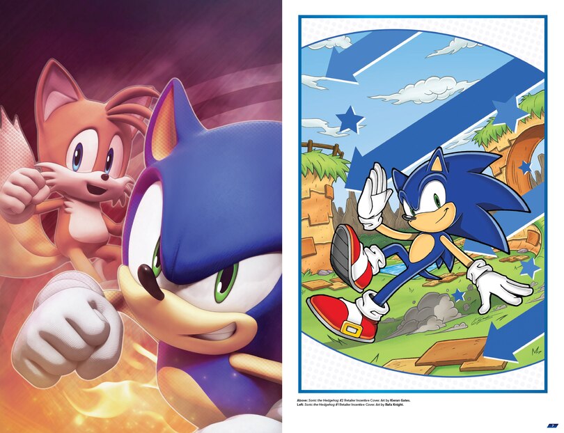 Sample content 5_Sonic the Hedgehog: The IDW Comic Covers, Vol. 1