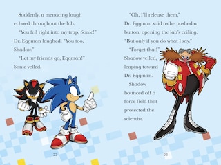 Sample content_Sonic the Hedgehog: The Race Is On