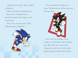Sample content 3_Sonic the Hedgehog: The Race Is On