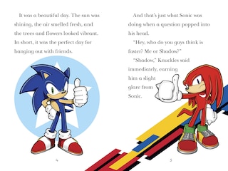 Sample content 5_Sonic the Hedgehog: The Race Is On