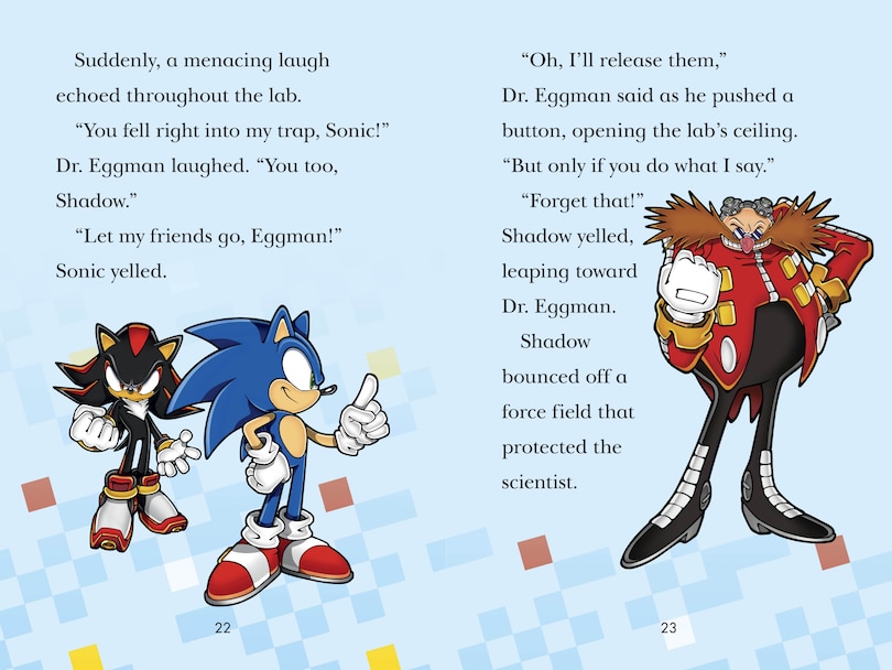 Sample content_Sonic the Hedgehog: The Race Is On