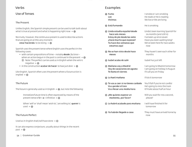 Sample content_Spanish Dictionary and Grammar