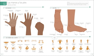 Aperçu du contenu_Spanish - English Illustrated Dictionary