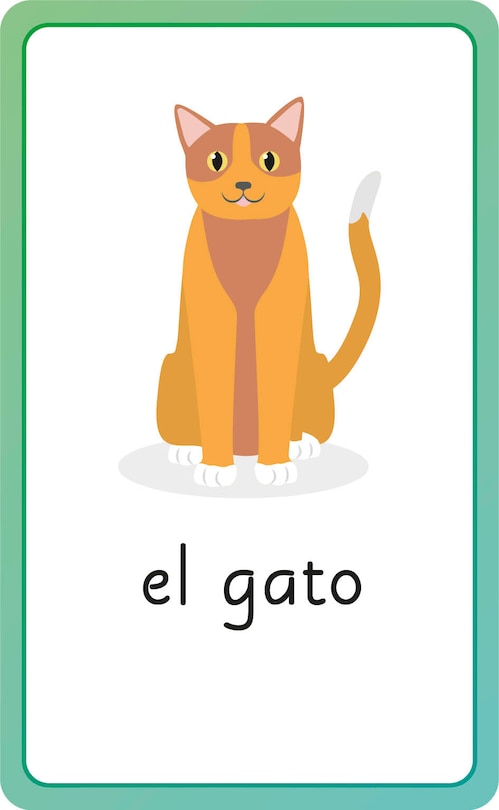 Aperçu du contenu_Spanish For Everyone Junior First Words Flash Cards